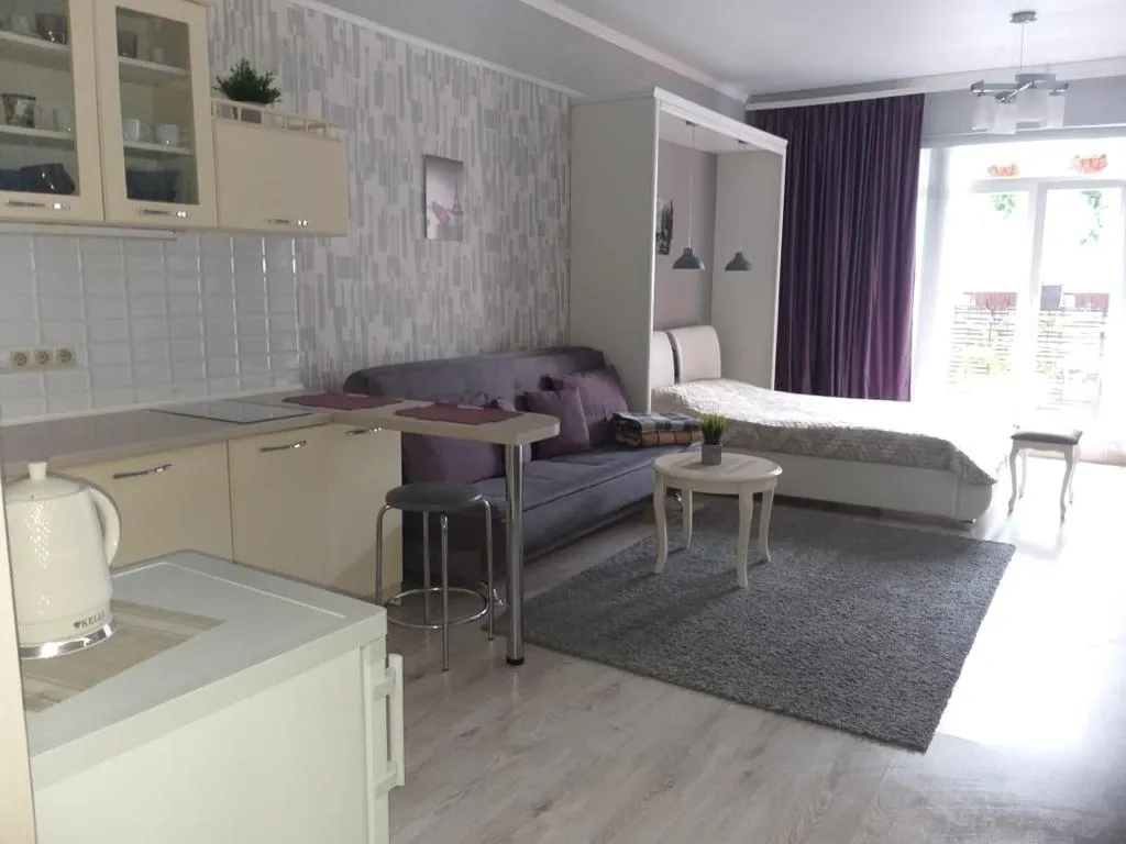 Квартира 1-комнатная Квартира — Светлогорск