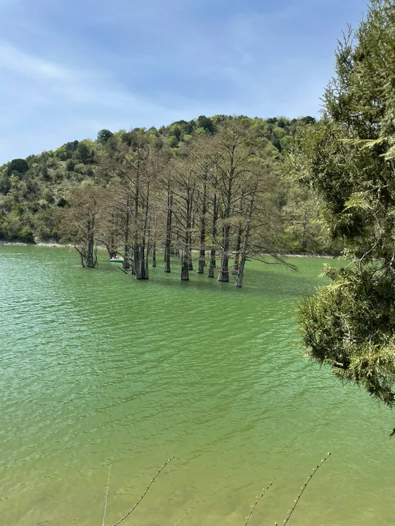 Уютная квартира со всеми удобствами