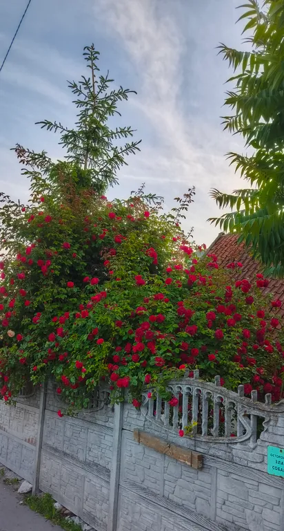 Квартира-студия в настоящем немецком доме