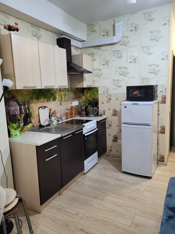 Квартира Квартира в центре Адлера — Сочи