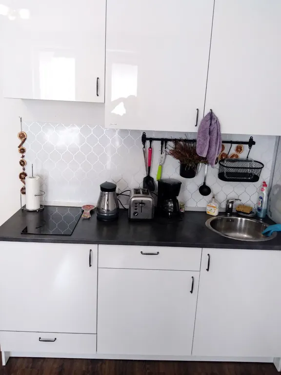 Студия в Гринландии