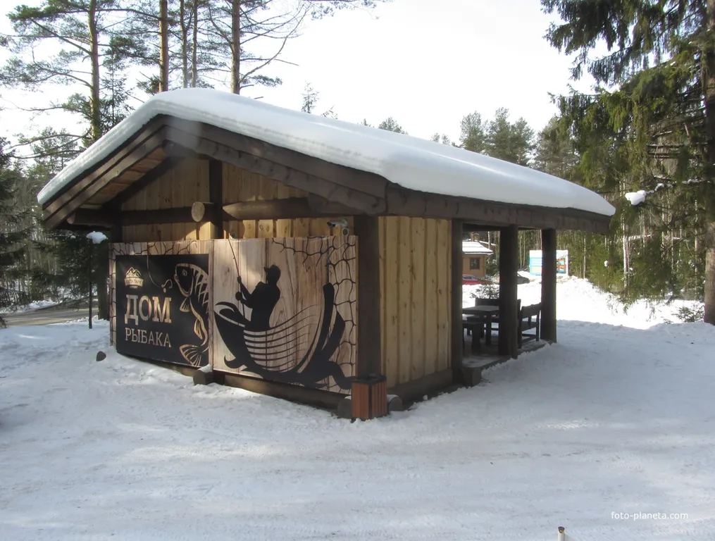 Cozy apartments in ohta park