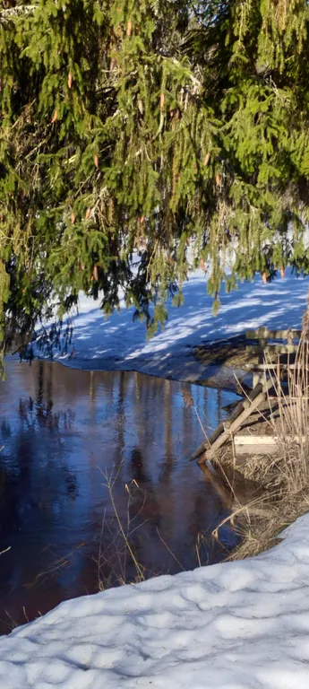 Домик у речки - мечта интроверта