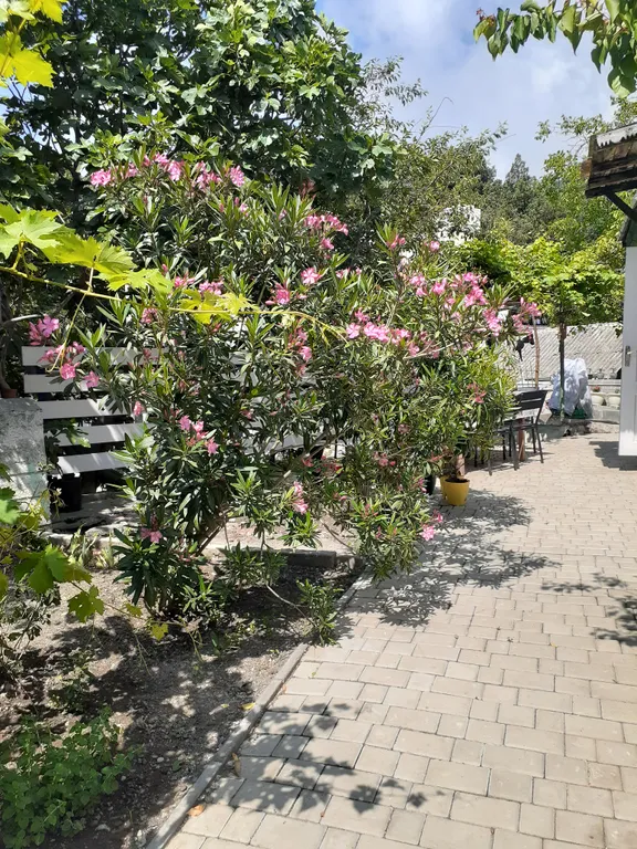 Дом для большой компании