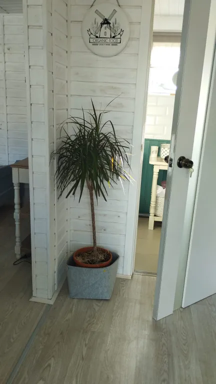 Коттедж Домик с баней у Гатчинского дворца и парка — Гатчина