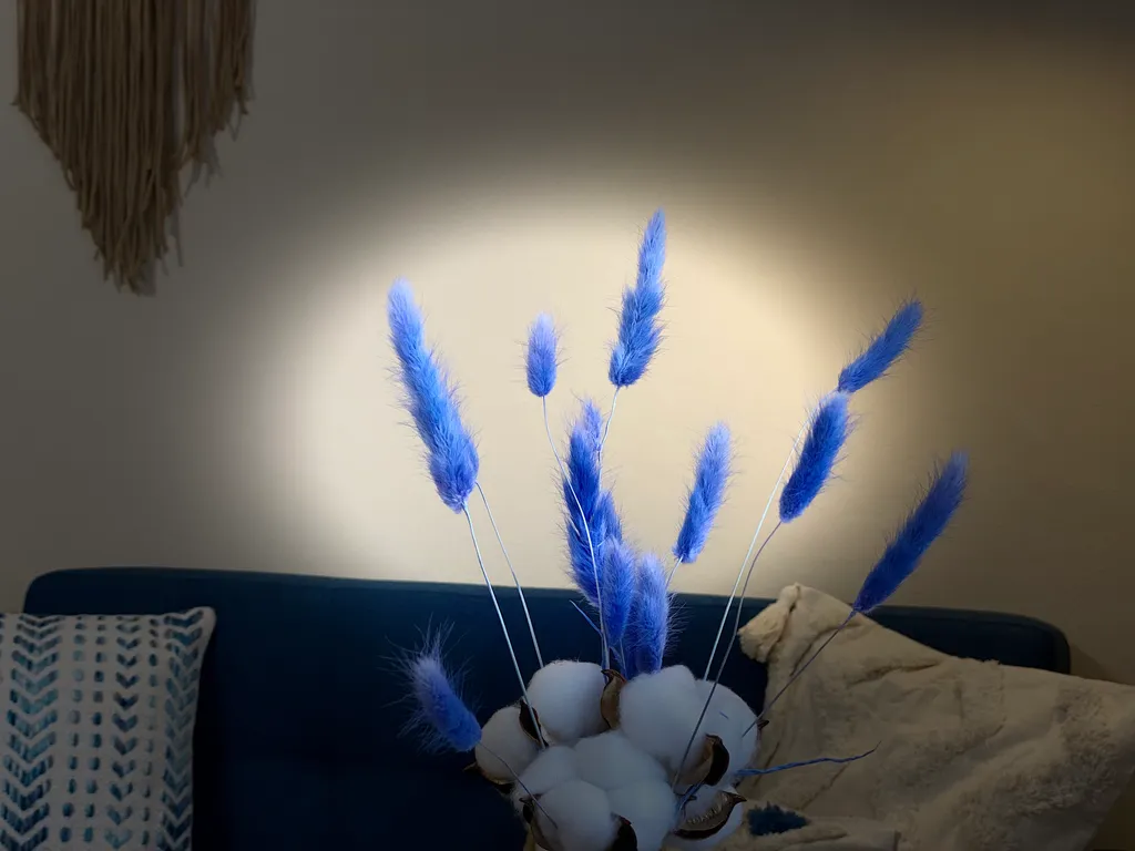 Морская мечта