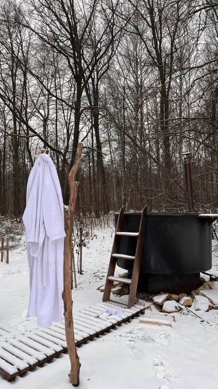 Премиальный дом с дизайнерским камином на дровах в лесу