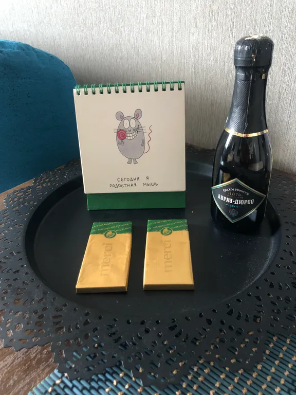 Квартира Квартира Красивая и уютная студия  для отдыха в прекрасном Санкт–Петербурге — Шушары