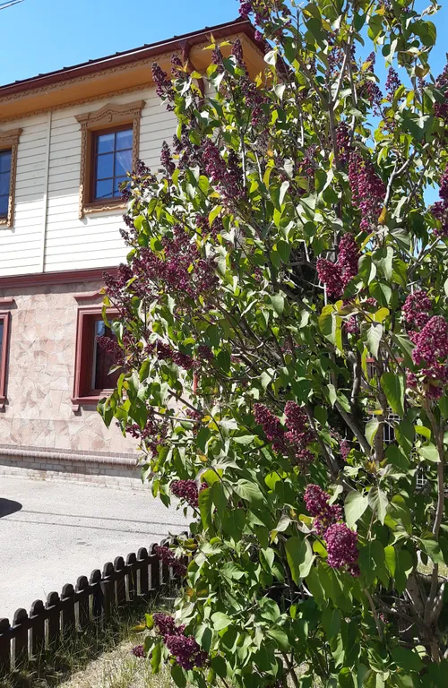 Как дома семейный апартамент