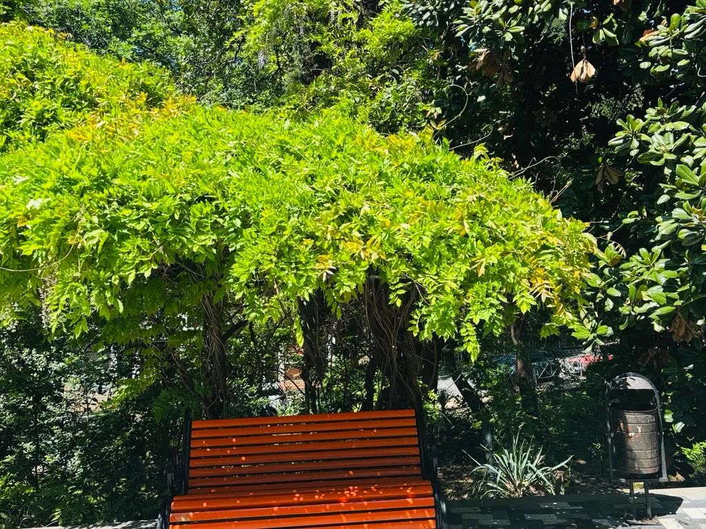 Апартаменты с видом на сад