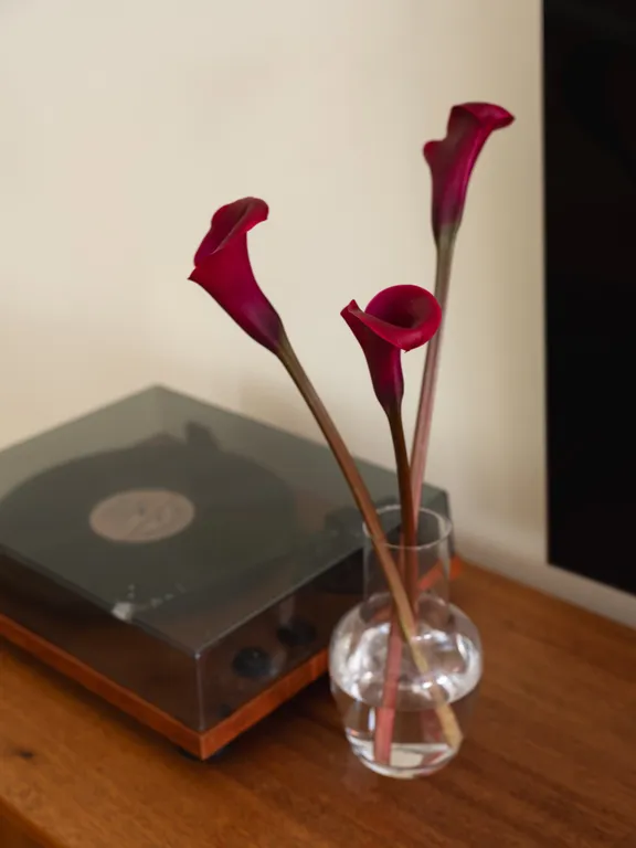 Апартаменты с тремя спальнями на Петроградской стороне