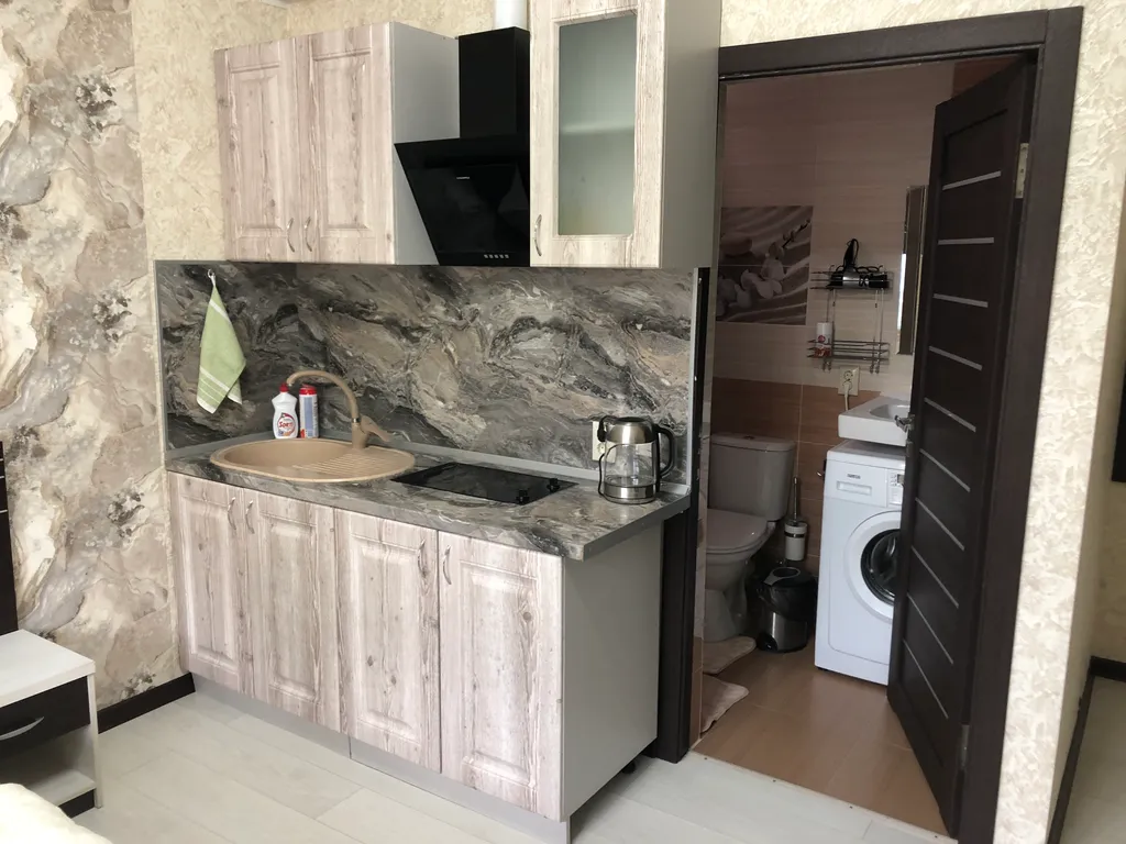 Квартира 1-комнатная Квартира — Сириус