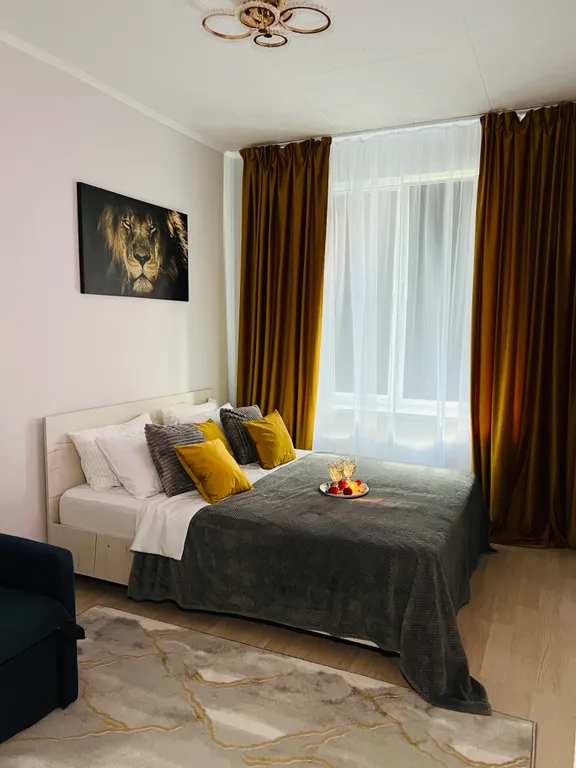 Квартира Квартира Уютная однушка — Светлогорск