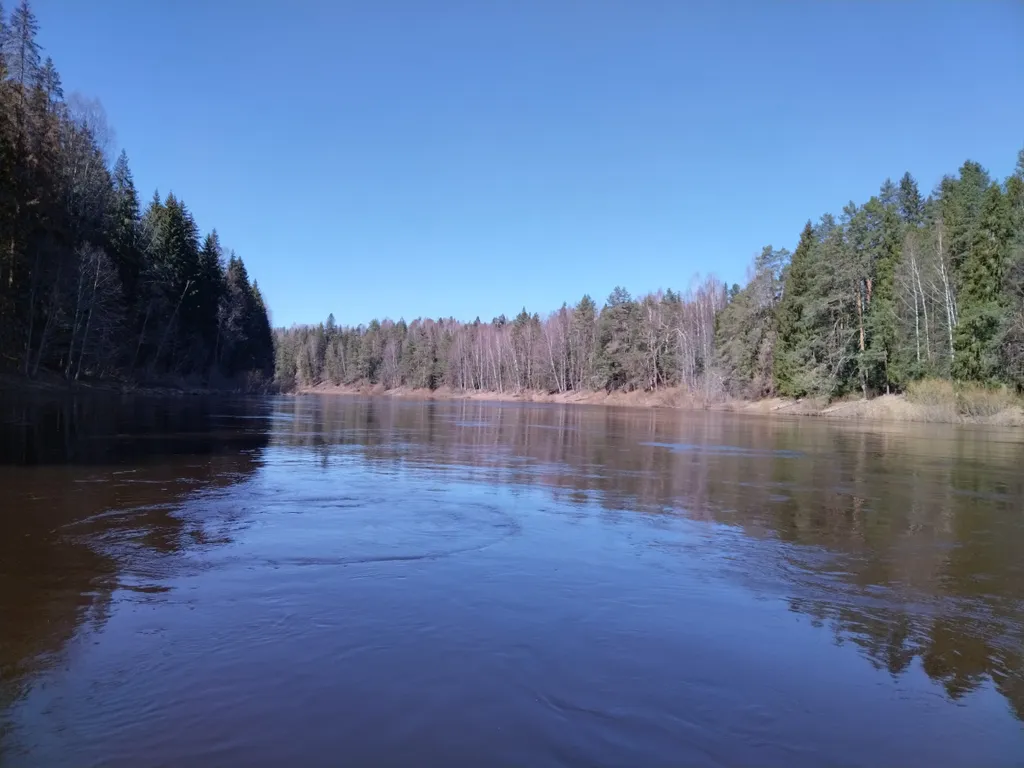 Коттедж Домики в лесу на берегу реки Волге — аренда посуточно в Ржев