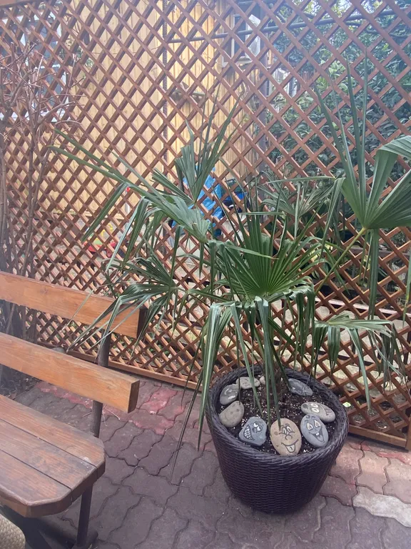 Квартира Комфортная, уютная комната — Сириус