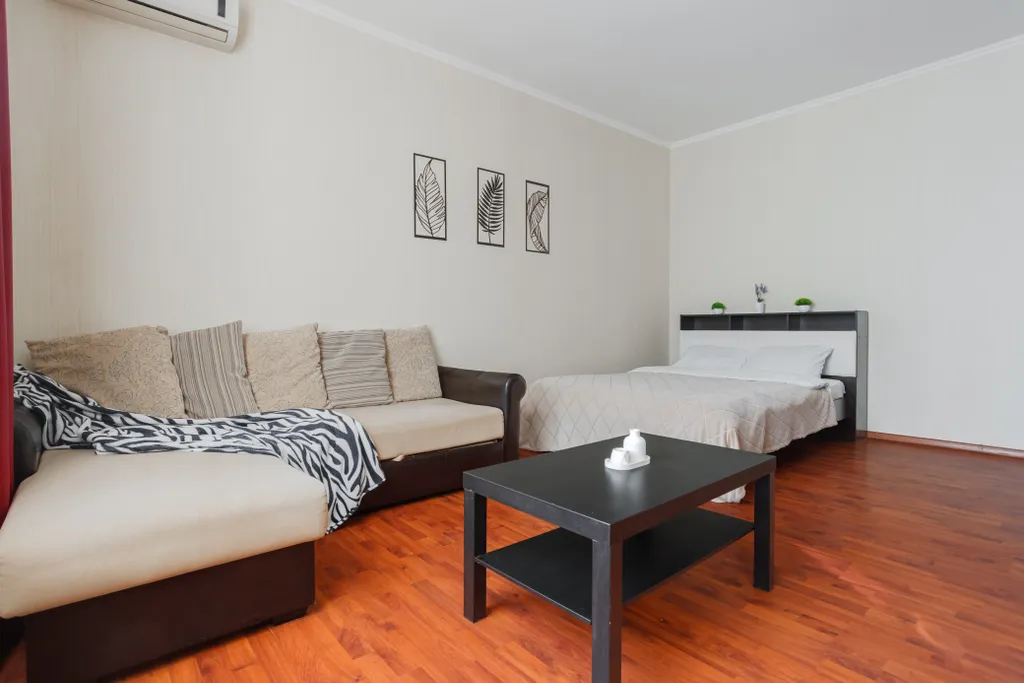 Большая 1-комнатная квартира с отдельной кухней