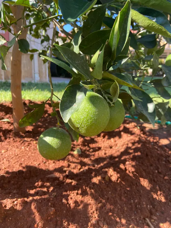 6-комнатный Дом