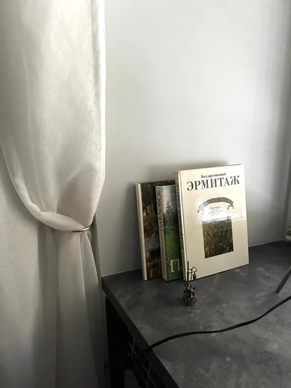 Квартира Квартира рядом с Исаакиевским, 3 спальных места, до 5 человек, 24/7 — Санкт-Петербург