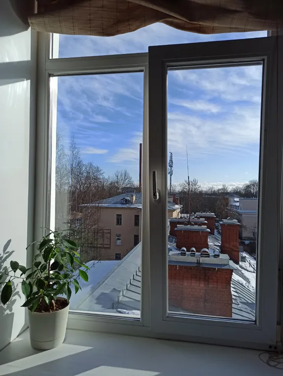 Квартира Квартира Атмосферная трёшка с видом на Екатерининский парк. — Пушкин