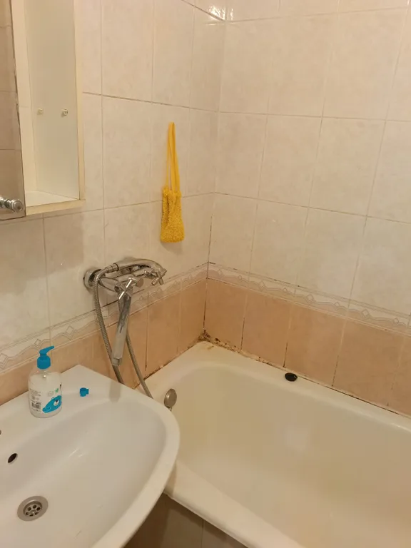 Оазис, ваш тихий уголок в сердце города для идеальных суток