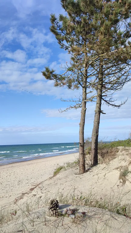 Атмосферные апартаменты у Балтийского моря