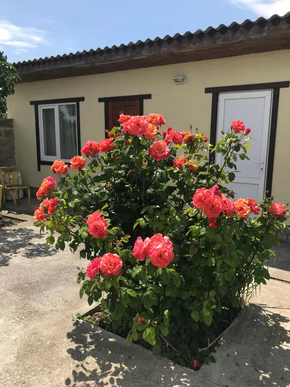 Небольшой уютный домик у пруда