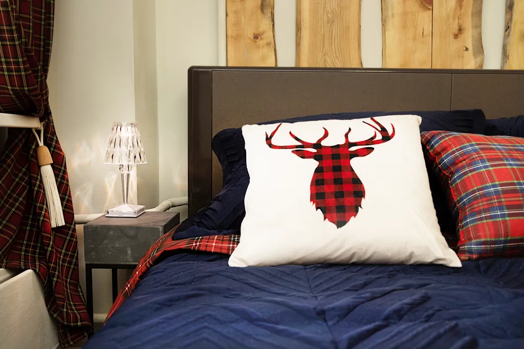 Апартаменты в шотландском стиле в центре