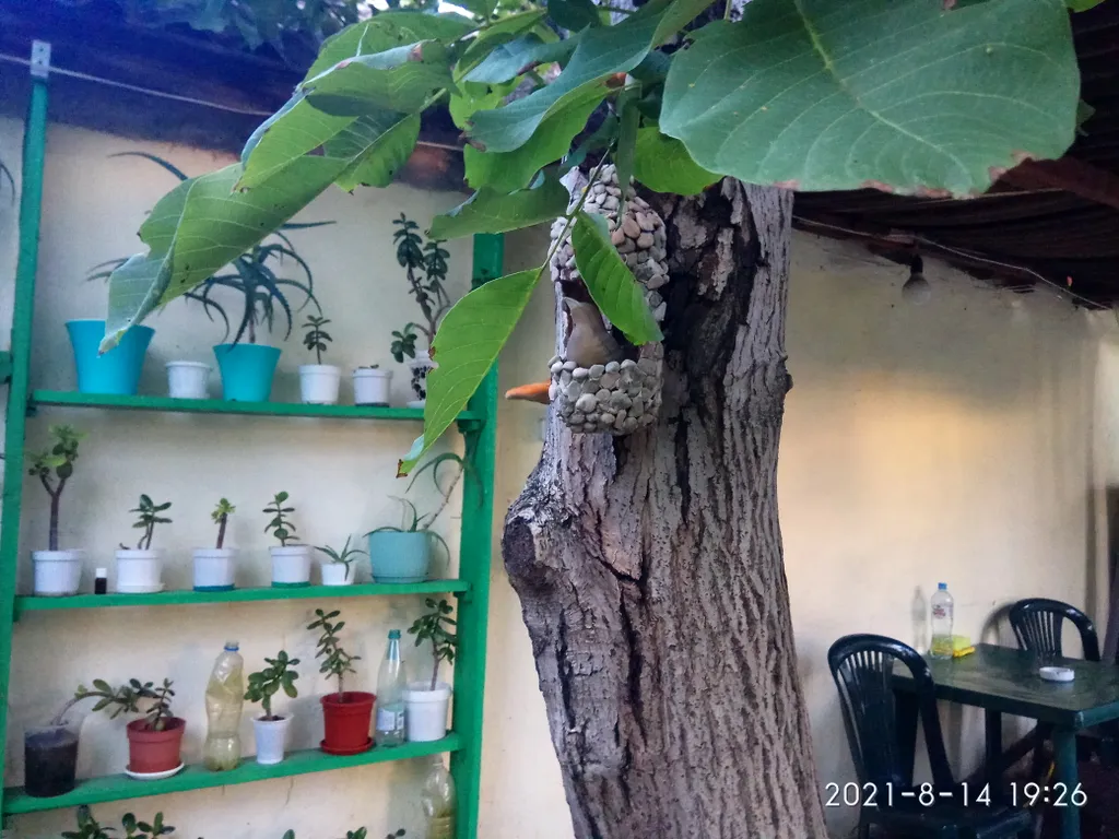 Комната с кондиционером на мансардном этаже