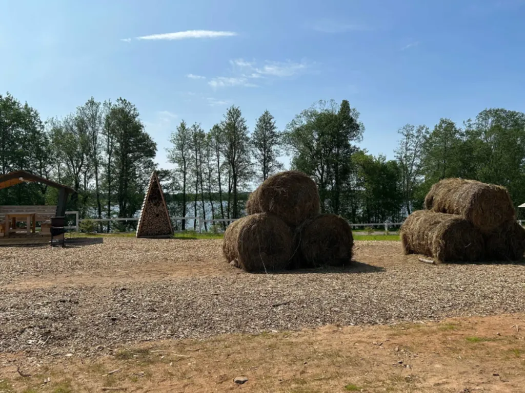 Эко база Петровское озеро