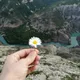 Дина
