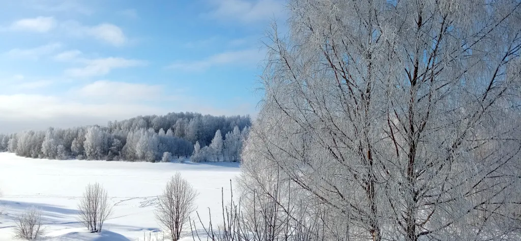 Шале с сауной на берегу реки