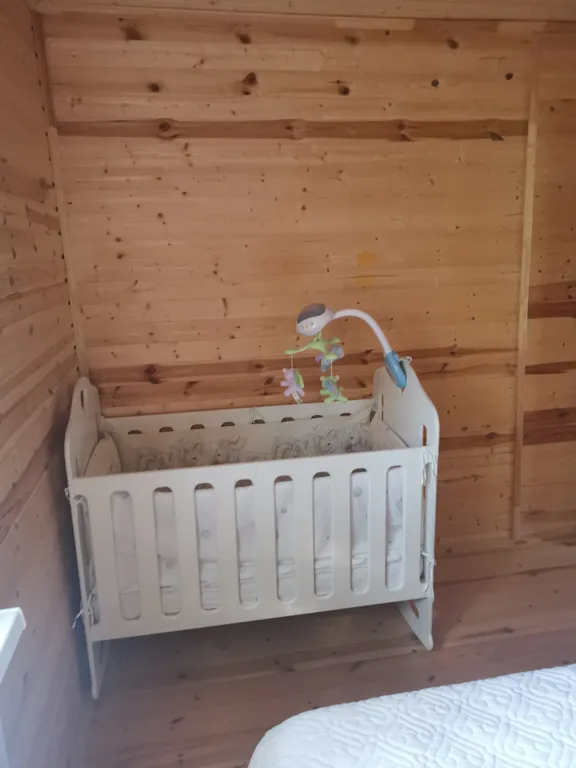 Dream Forest & River PZ