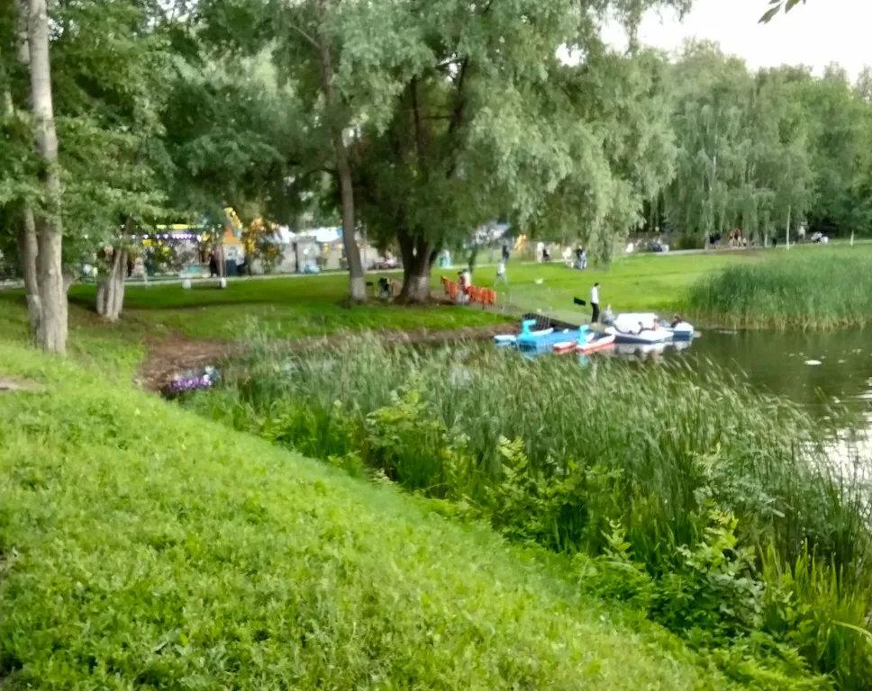 Квартира у парка