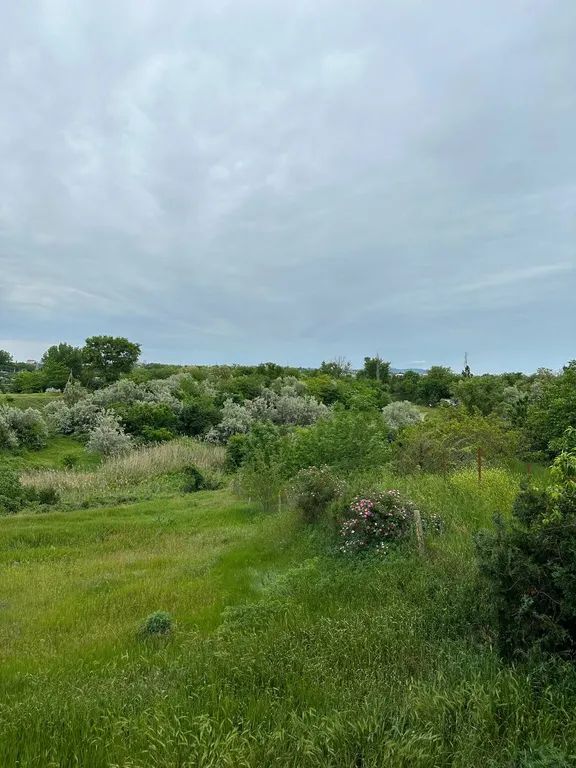 Просторный дом