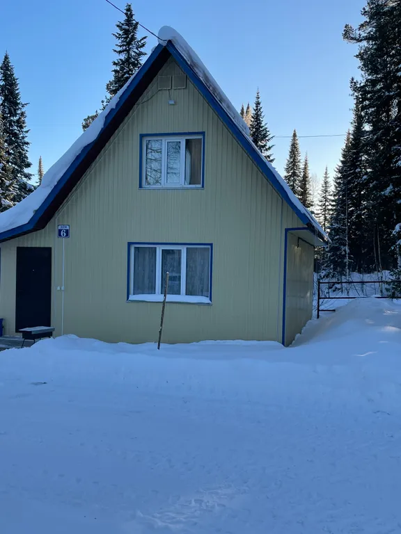 Небольшой уютный дом рядом с пихтовым лесом