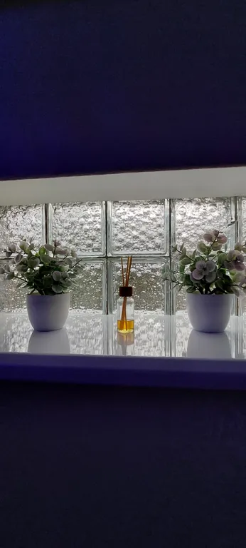 Студия в центре