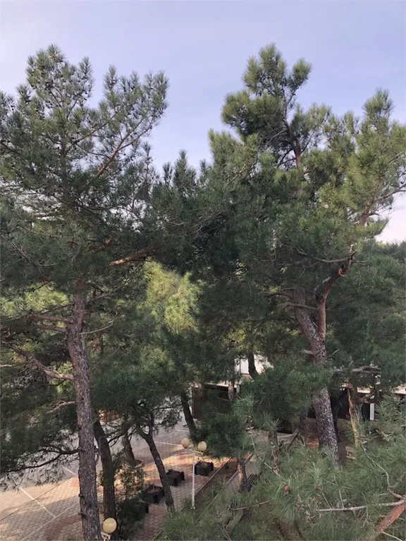 Квартира Комната — Геленджик