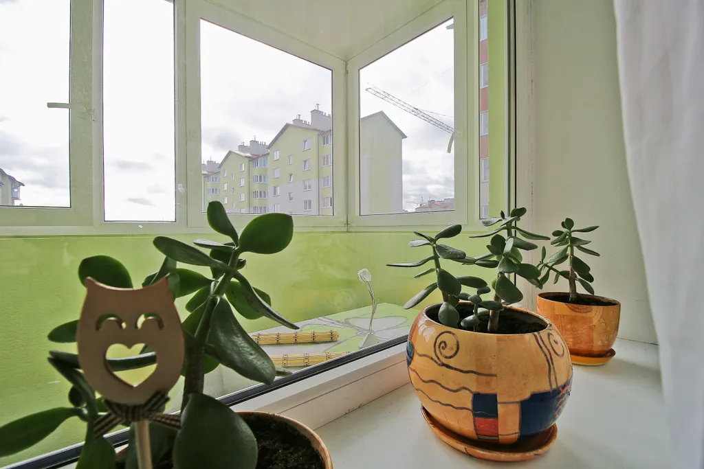 Квартира Квартира Солнечный кот — Зеленоградск