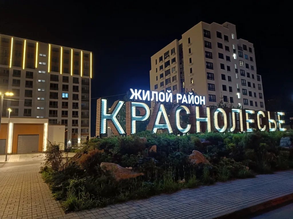 Студия у рощи