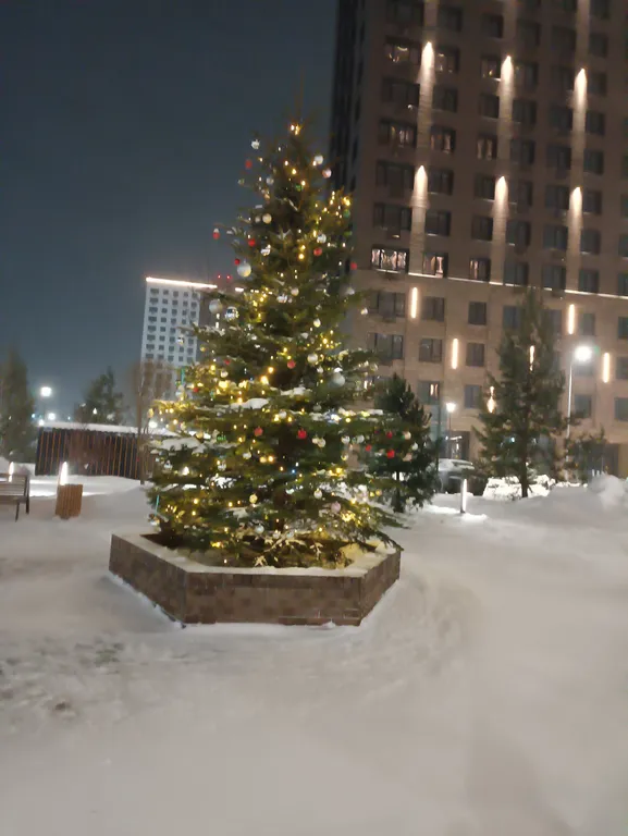 Новая Студия