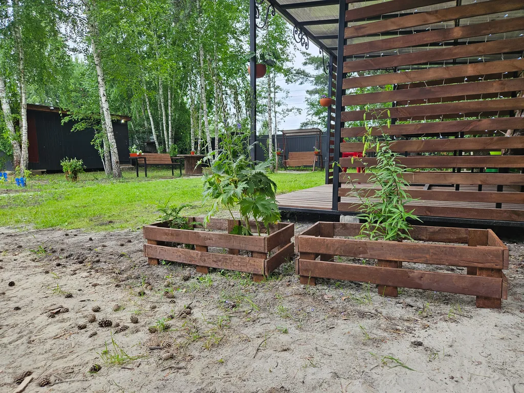 Загородный дом под соснами с сауной и чаном