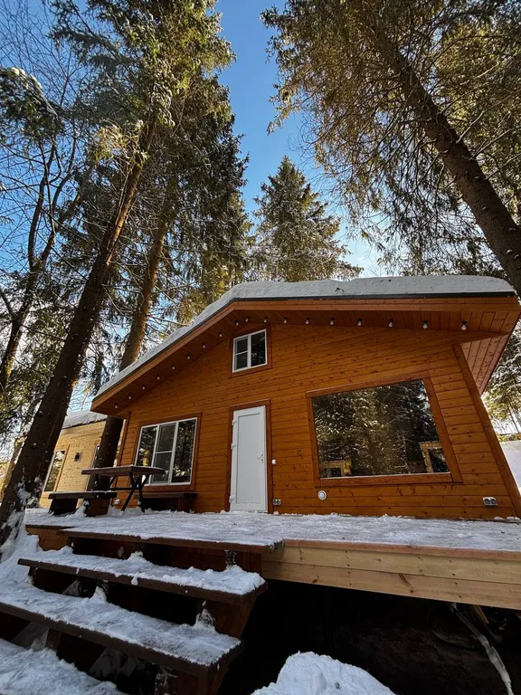 Коттедж Дом с баней и чаном в окружении леса и выходом к реке — Шадрино