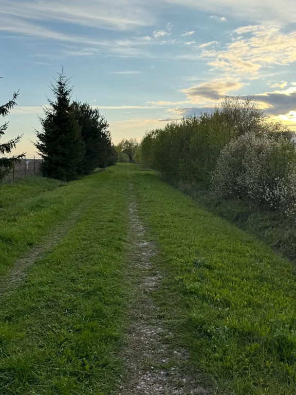 Petrushkа Просторы