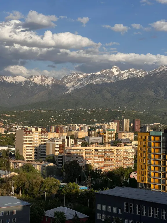 Уютная большая 3-х комнатная квартира в центре города