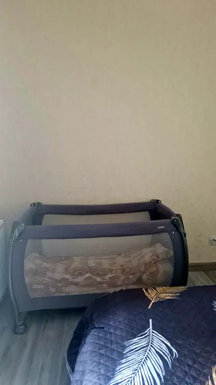 Евродвушка Авиатор с умной колонкой Марусей
