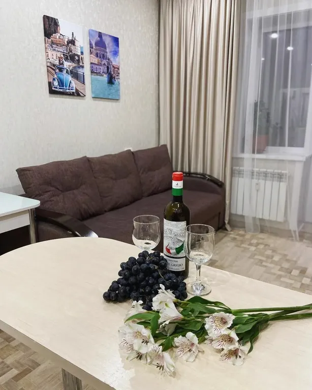 Квартира Уютная студия с видом на центр города и зеленую рощу — аренда посуточно в Иркутск