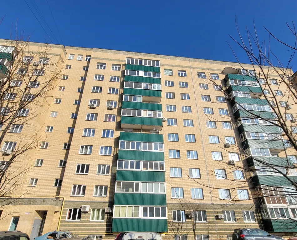 Застенчевая Ива у Пруда