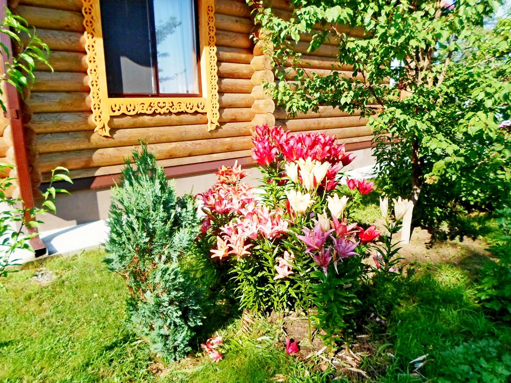 2-комнатный Дом