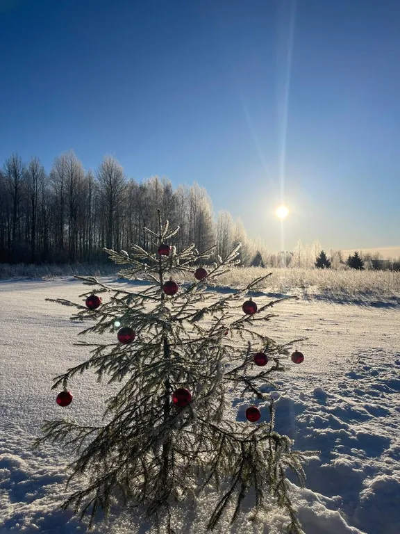 Атмосферный дом у леса