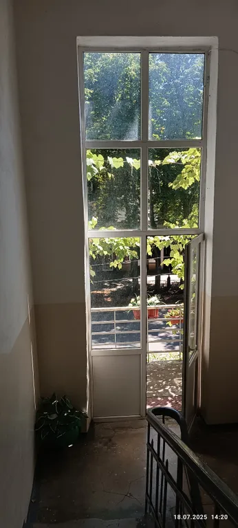 Каштановая аллея